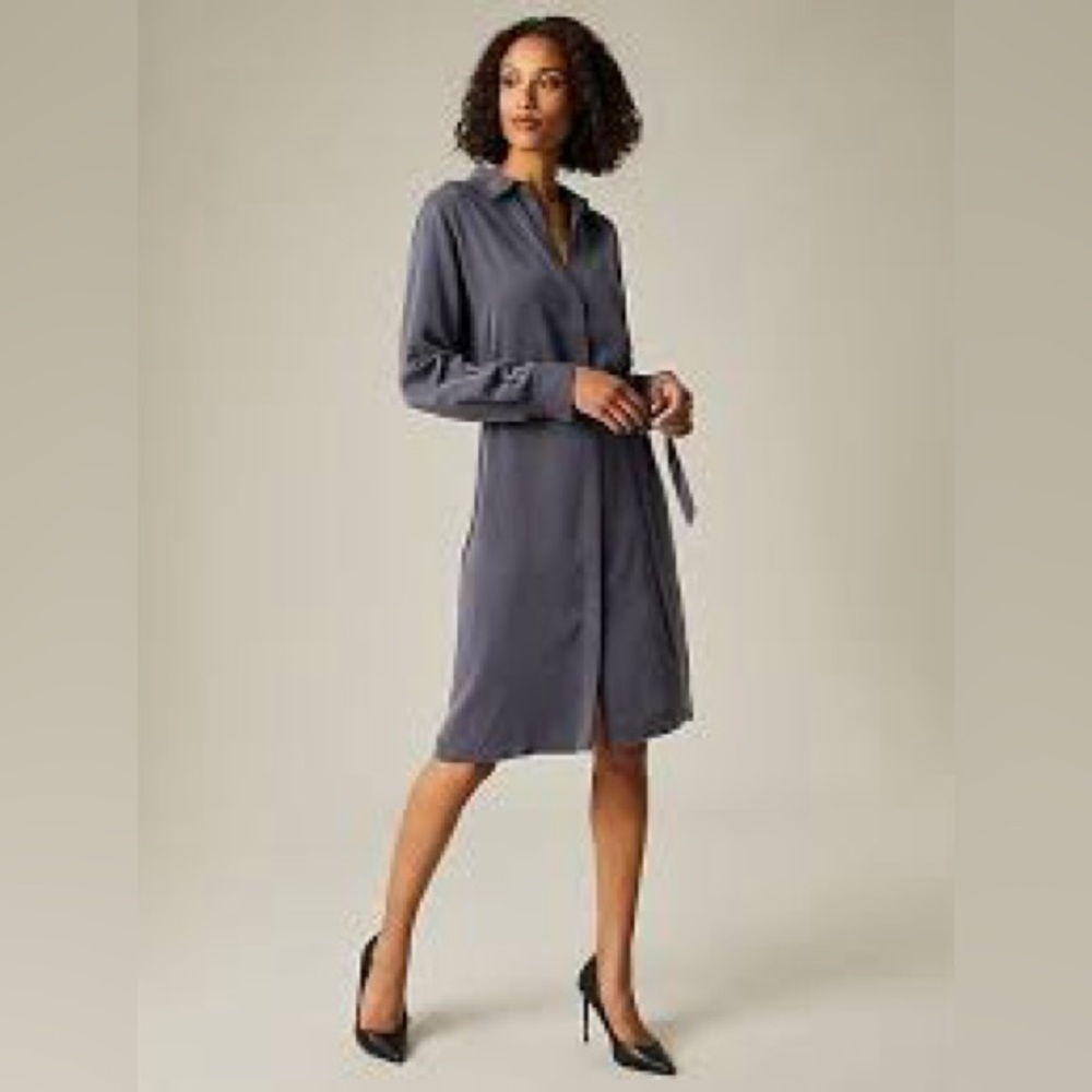 Hudson North Belted Shirt Dress